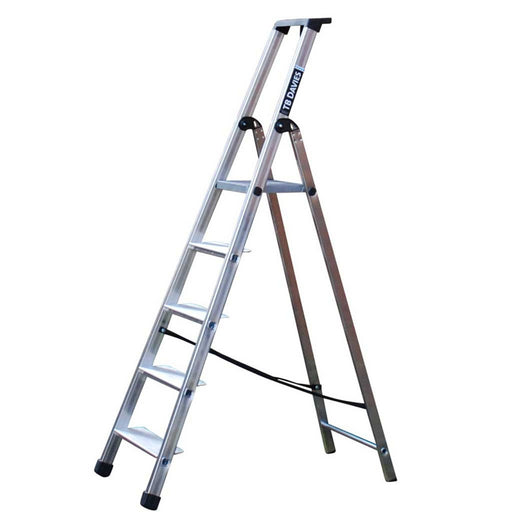 TB Davies Maxi Aluminium Platform Stepladder